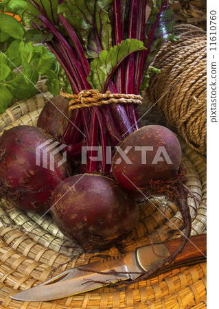 Freshly Picked Beetroot Freshly Picked Beetroot 11610760