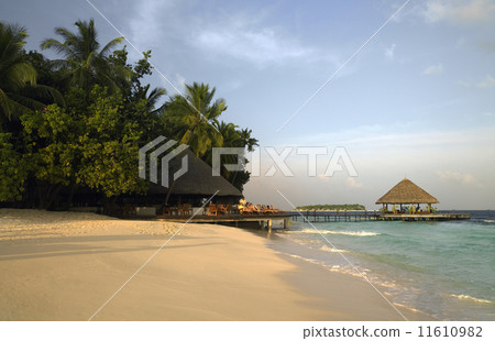 Luxury Vacation - The Maldives 11610982