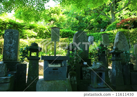 Yoshida Matsuo's birthplace 11611430