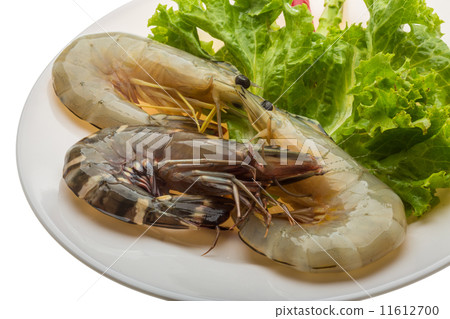 King and waterleg shrimps King and waterleg shrimps 11612700