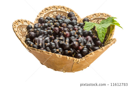 Black currant 11612783