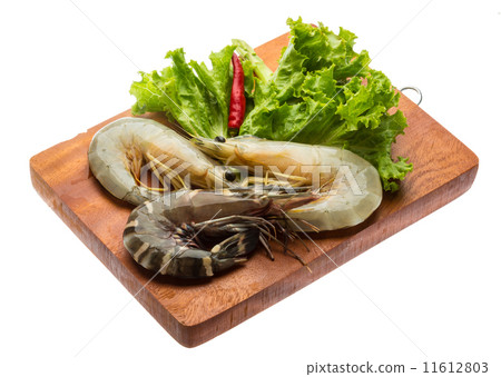 King and waterleg shrimps 11612803