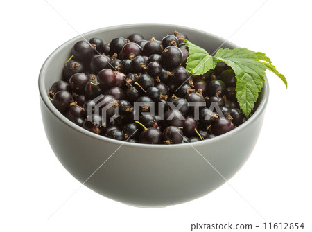 Black currant Black currant 11612854