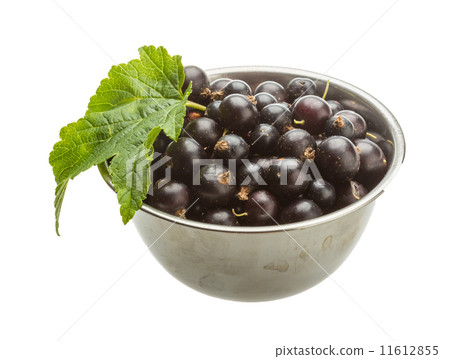 Black currant 11612855