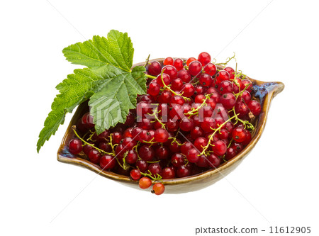 Red currant 11612905