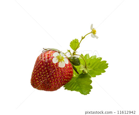 Ripe strawberry Ripe strawberry 11612942