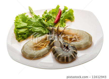 King and waterleg shrimps King and waterleg shrimps 11612943