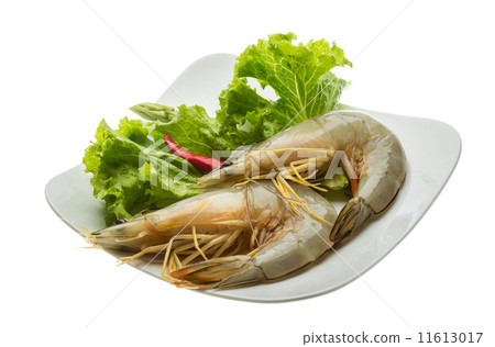 Tiger prawn Tiger prawn 11613017