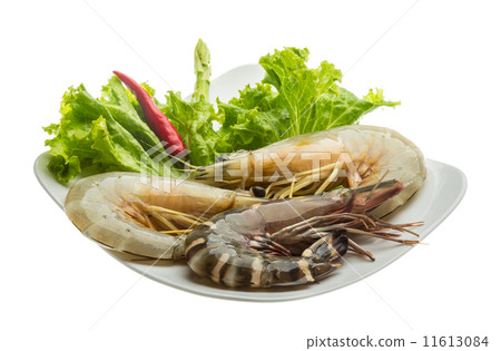 King and waterleg shrimps King and waterleg shrimps 11613084
