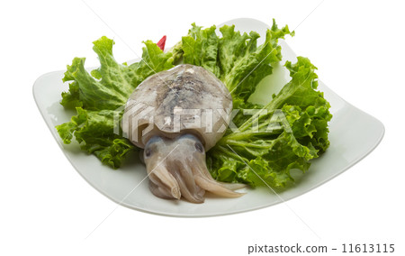 Raw cuttlefish 11613115