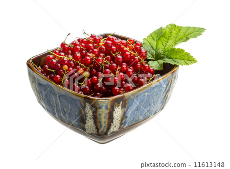 Red currant 11613148