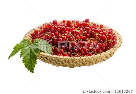Red currant Red currant 11613207