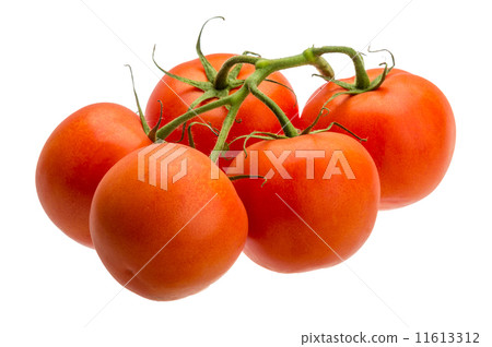 Tomatoes on the branch 11613312