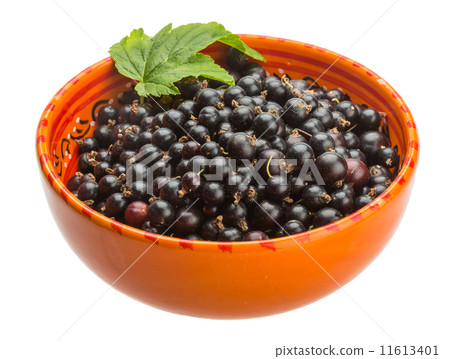 Black currant Black currant 11613401