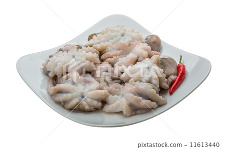 Raw octopus 11613440