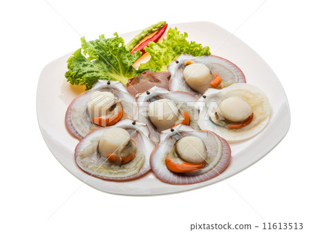 Raw fresh scallop 11613513