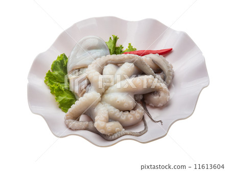 Raw octopus 11613604