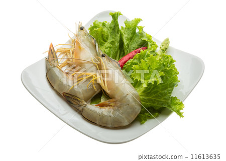 Tiger prawn Tiger prawn 11613635