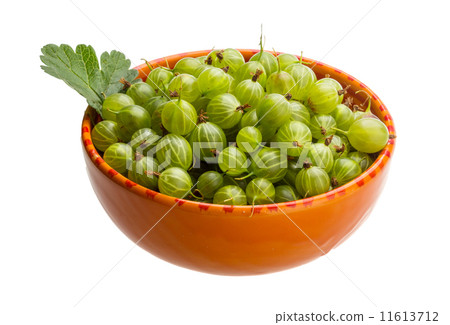 Gooseberries Gooseberries 11613712