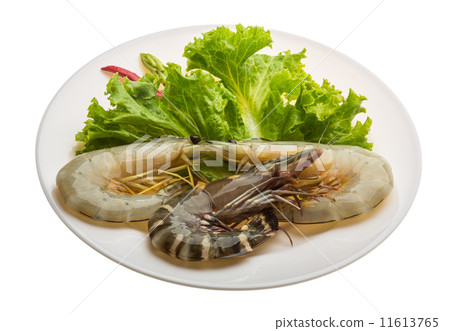 King and waterleg shrimps King and waterleg shrimps 11613765