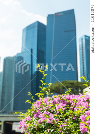 Buildings in Singapore skyline Buildings in Singapore skyline 11613873