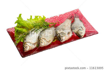 Crucian fish 11613895