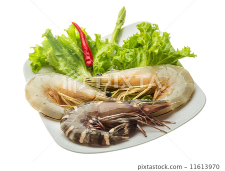 King and waterleg shrimps King and waterleg shrimps 11613970