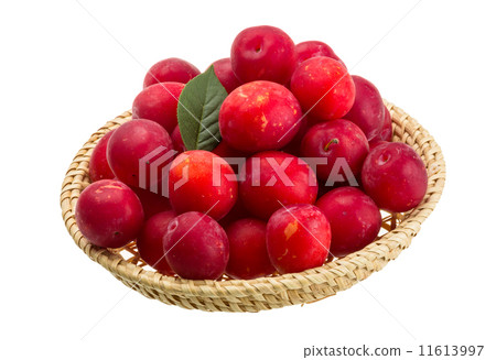 Damson plum 11613997