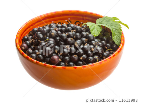 Black currant Black currant 11613998