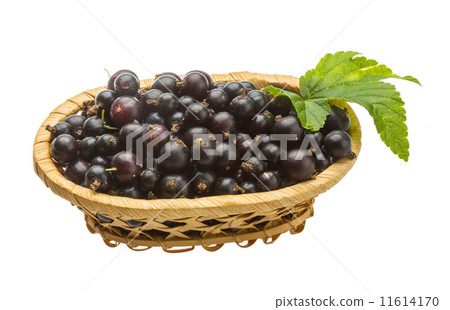 Black currant Black currant 11614170