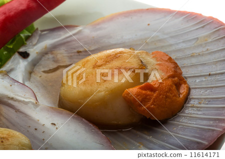 Grilled scallops Grilled scallops 11614171