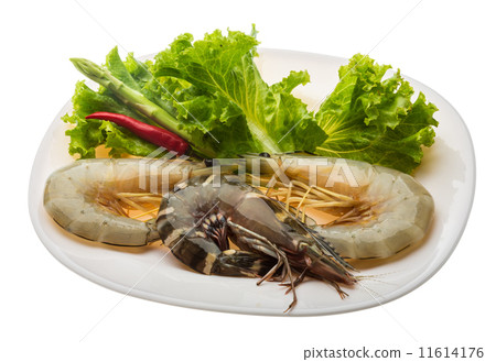 King and waterleg shrimps 11614176