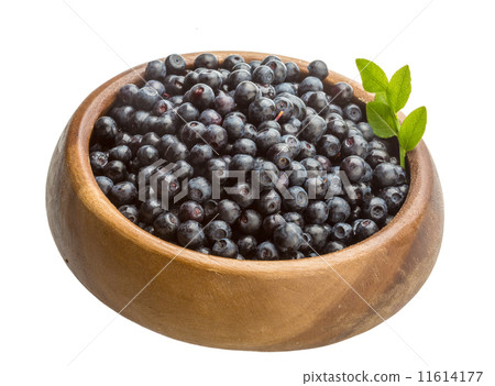 Blueberry Blueberry 11614177