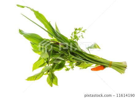Asian herbs Asian herbs 11614190