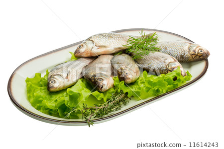 Crucian fish Crucian fish 11614243