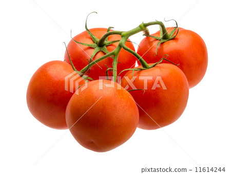 Tomatoes on the branch Tomatoes on the branch 11614244