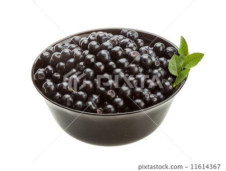 Blueberry Blueberry 11614367