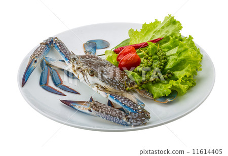 Raw blue crab Raw blue crab 11614405