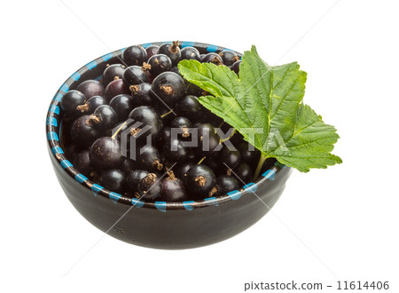 Black currant Black currant 11614406