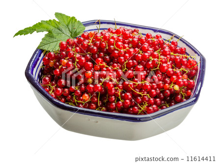 Red currant Red currant 11614411