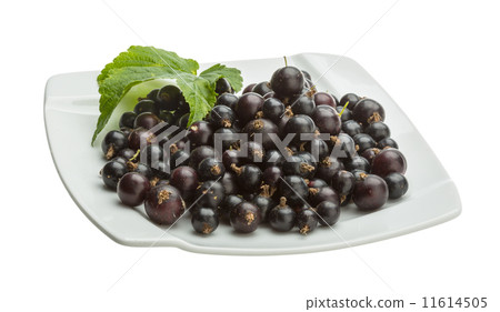 Black currant Black currant 11614505