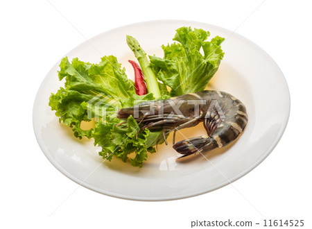 Tiger prawn Tiger prawn 11614525