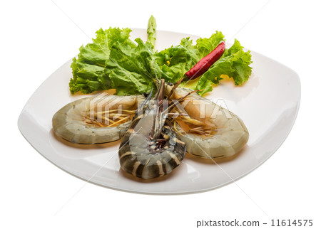 King and waterleg shrimps King and waterleg shrimps 11614575