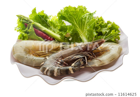 King and waterleg shrimps 11614625