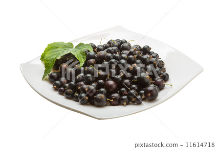 Black currant Black currant 11614718