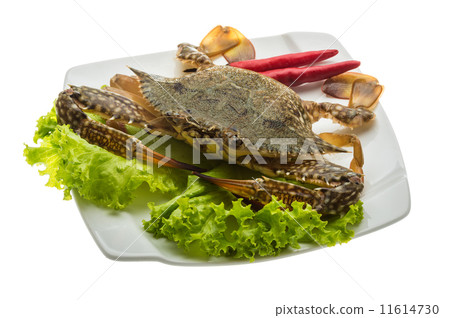 Raw crab 11614730