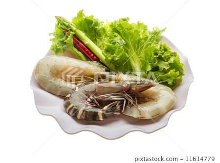 King and waterleg shrimps King and waterleg shrimps 11614779