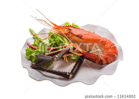 Giant Freshwater Prawn 11614802