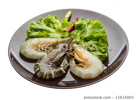 King and waterleg shrimps King and waterleg shrimps 11614803