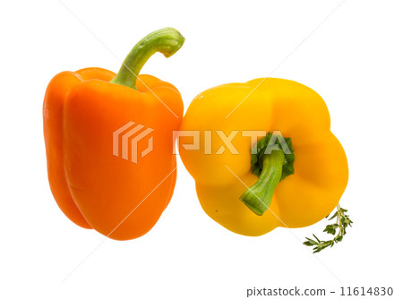 Bulgarian Pepper 11614830